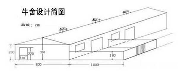 養(yǎng)牛技術(shù)