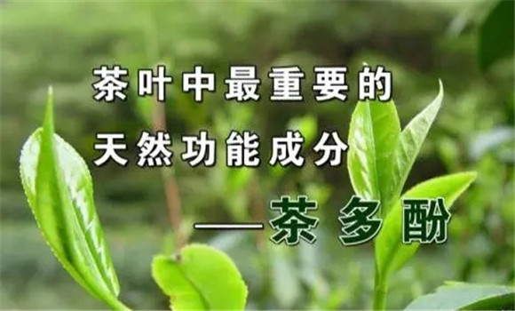 茶多酚被氧化