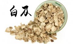 白及的產(chǎn)地是哪里？白及的用法、用量與禁忌