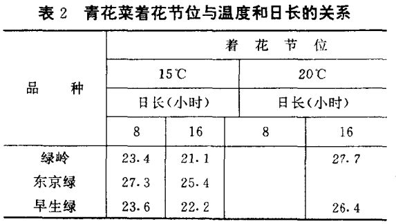 青花菜種植技術(shù)