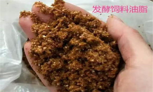 飼料中添加油脂有什么作用