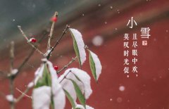 小雪節(jié)氣是什么意思，小雪節(jié)氣吃什么食品？