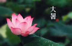 大暑是幾月幾日，大暑的節(jié)日民俗的哪些？