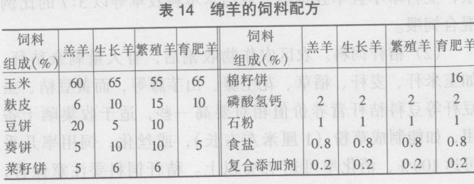 綿羊的飼養(yǎng)技術(shù)