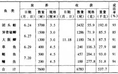 養(yǎng)殖戶為何喜歡養(yǎng)團頭魴