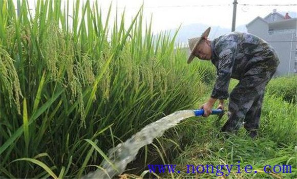 調節(jié)水分