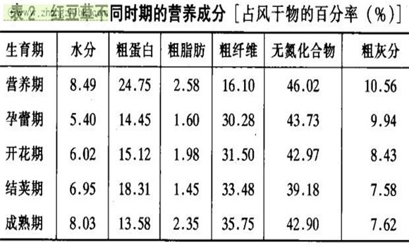 紅豆草經濟價值及利用