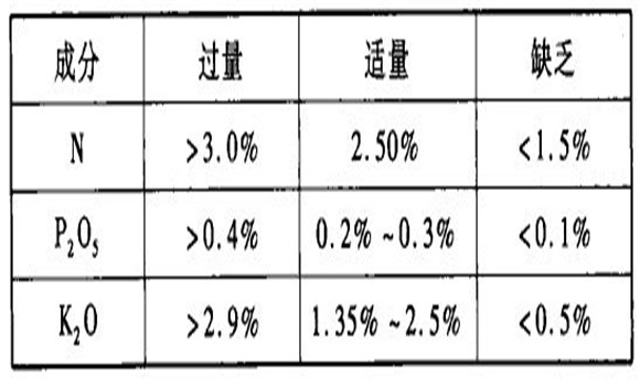 蘋果園的施肥與灌溉技術