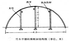 塑料中棚加外覆蓋能明顯使蔬菜早熟，效益高