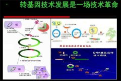 轉(zhuǎn)基因技術的原理是什么,在農(nóng)業(yè)上的應用有哪些