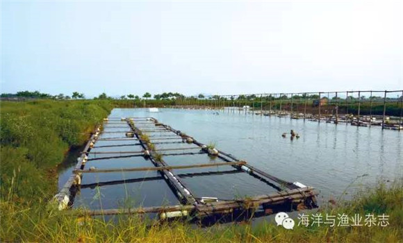 魚池老水的特征