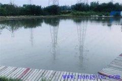 怎樣建設(shè)一個良性循環(huán)的生態(tài)養(yǎng)魚場