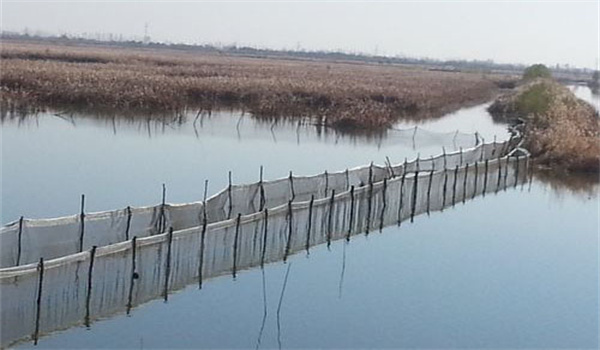 無公害河蟹的產地環(huán)境和蟹池條件