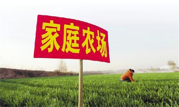 家庭農(nóng)場要通過實(shí)現(xiàn)專業(yè)化生產(chǎn)