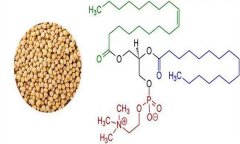 大豆異黃酮對(duì)人體有什么好處 什么食物含量多？