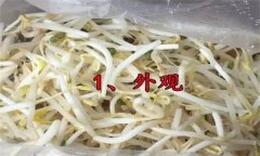 如何挑選豆芽？有根豆芽與無根豆芽有什么區(qū)別